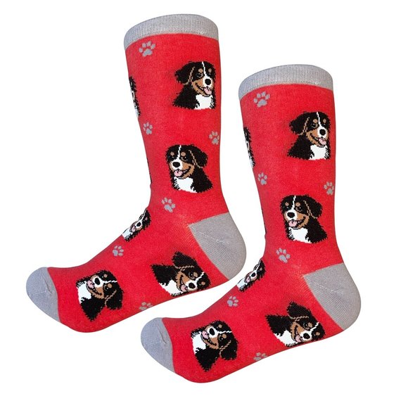 Sock Daddy Accessories - Bernese Mt. Dog  - Fun Unisex Socks - Crazy Pet Lover